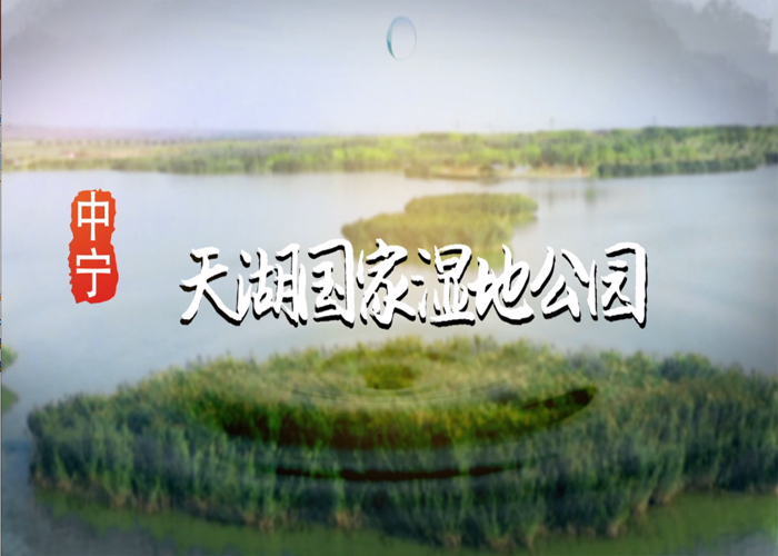 中宁天湖国家湿地公园