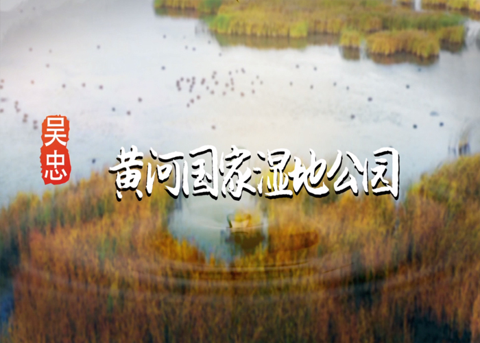 吴忠黄河国家湿地公园