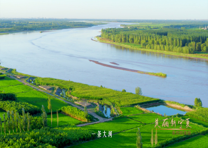 黄河两岸是我家