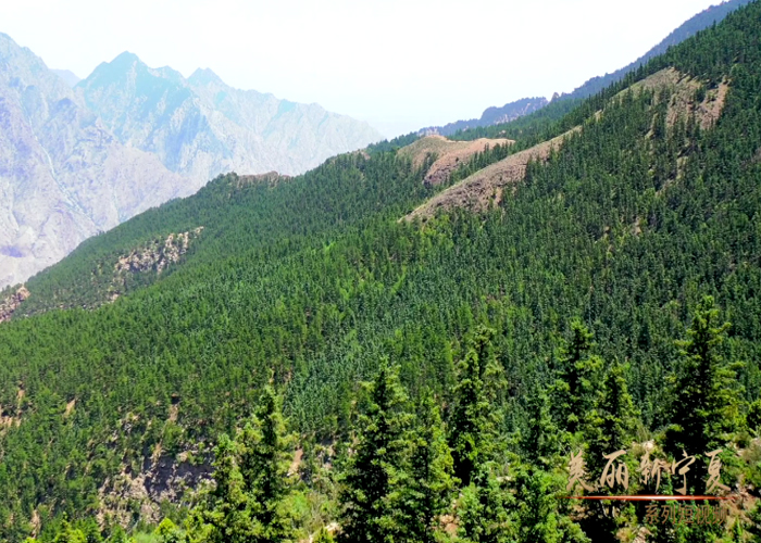 雄浑贺兰山3分钟