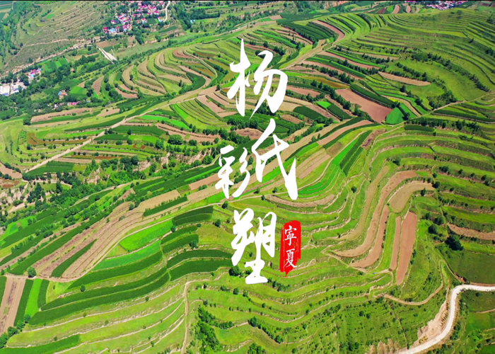 杨氏泥塑