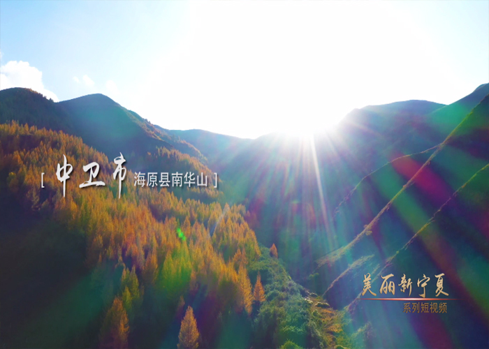 塞上秋来风景异