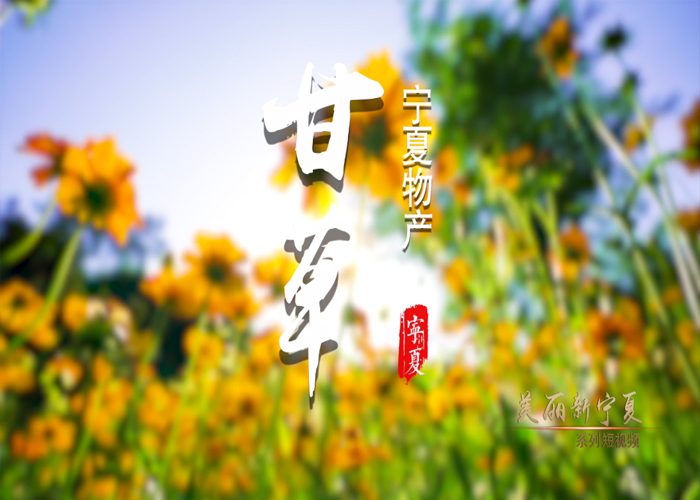 宁夏特产甘草